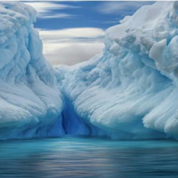 Meet your Posher, Lois - Picture 1 of 1